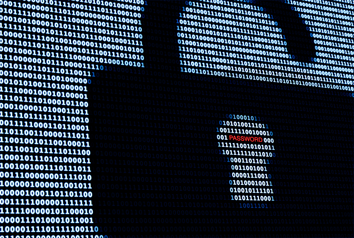 Password and data security lock
